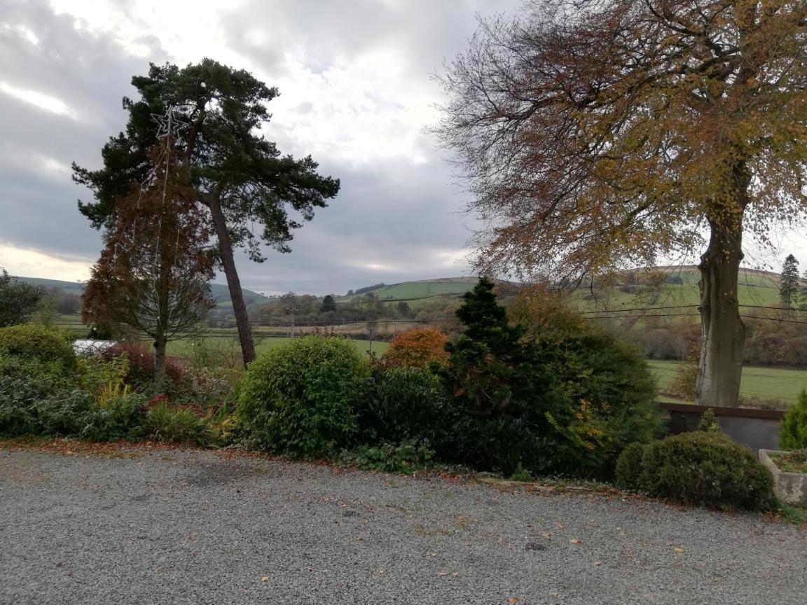 Lion Hotel Llanbister Exteriör bild